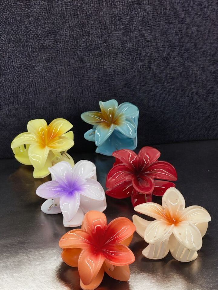 İTHAL LOTUS MANDAL 12 Lİ PAKET